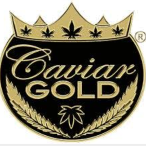 caviar gold preroll infused baby cavi cg58 2.5g